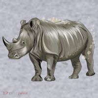 Rhinoceros From A Splash Women's Sweatshirt thumb 2