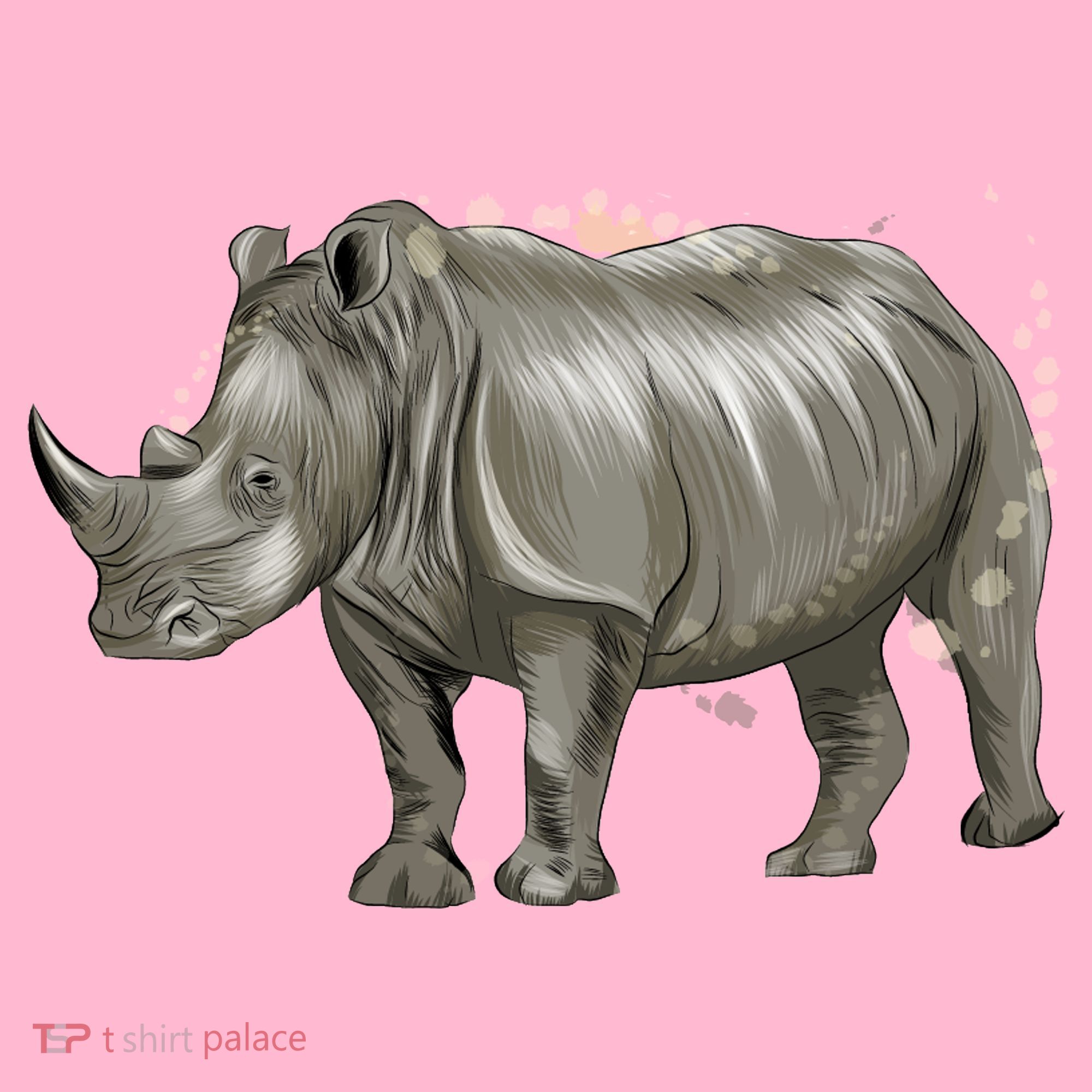 Rhinoceros From A Splash Coaster