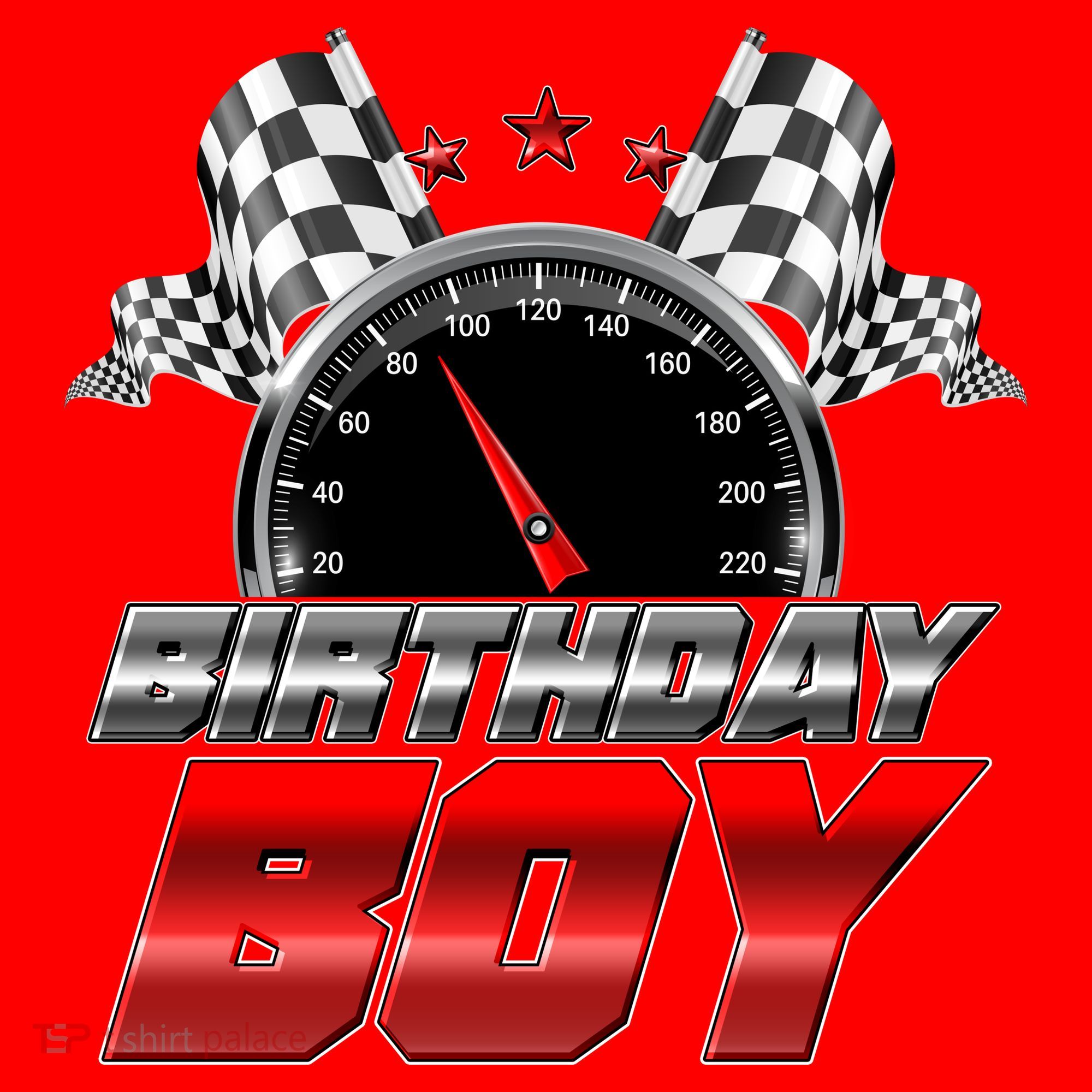 Racing Fan Birthday Boy Speedometer Santa Hat