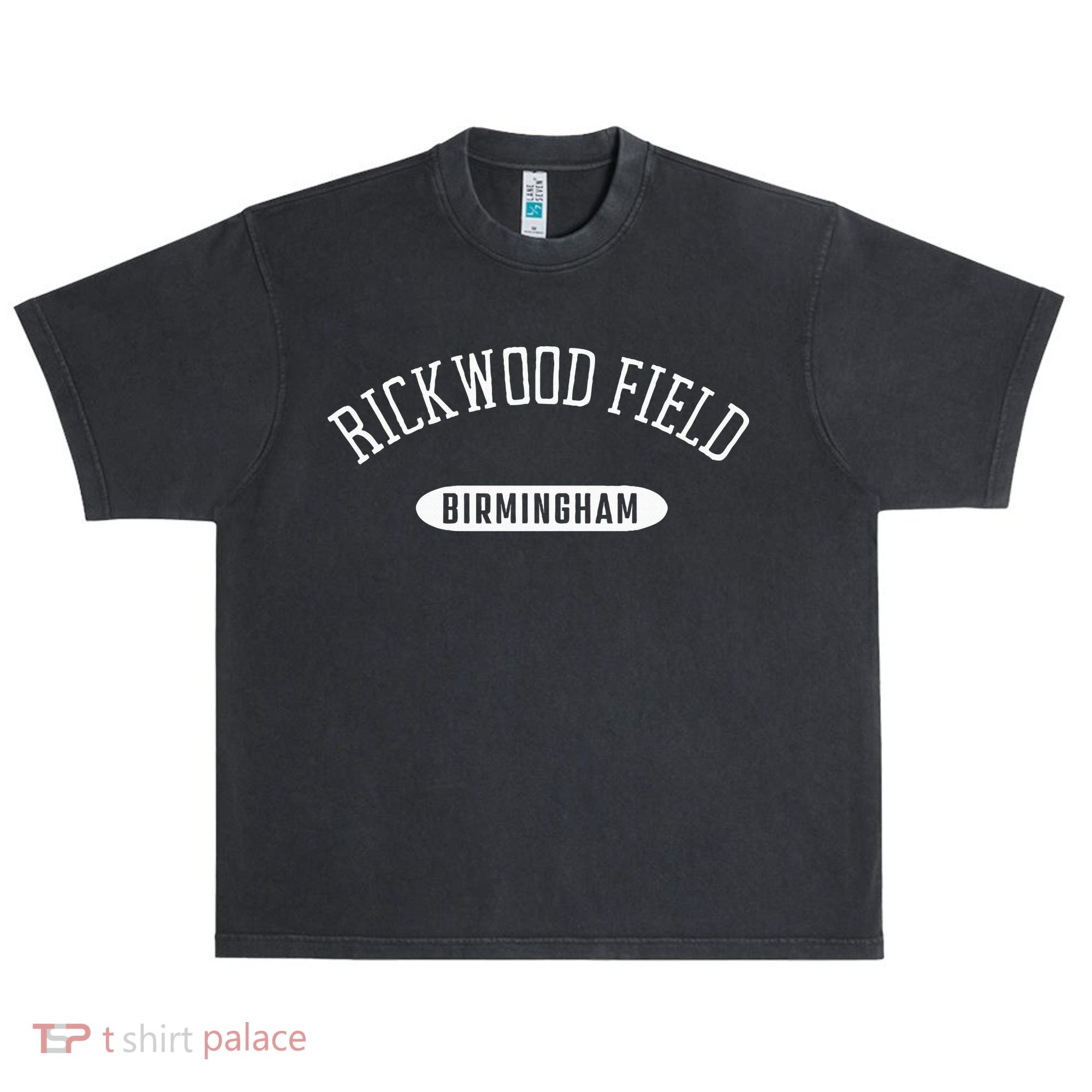 Rickwood Field Classic Style Birmingham Alabama Urban Oversized Heavyweight T-Shirt