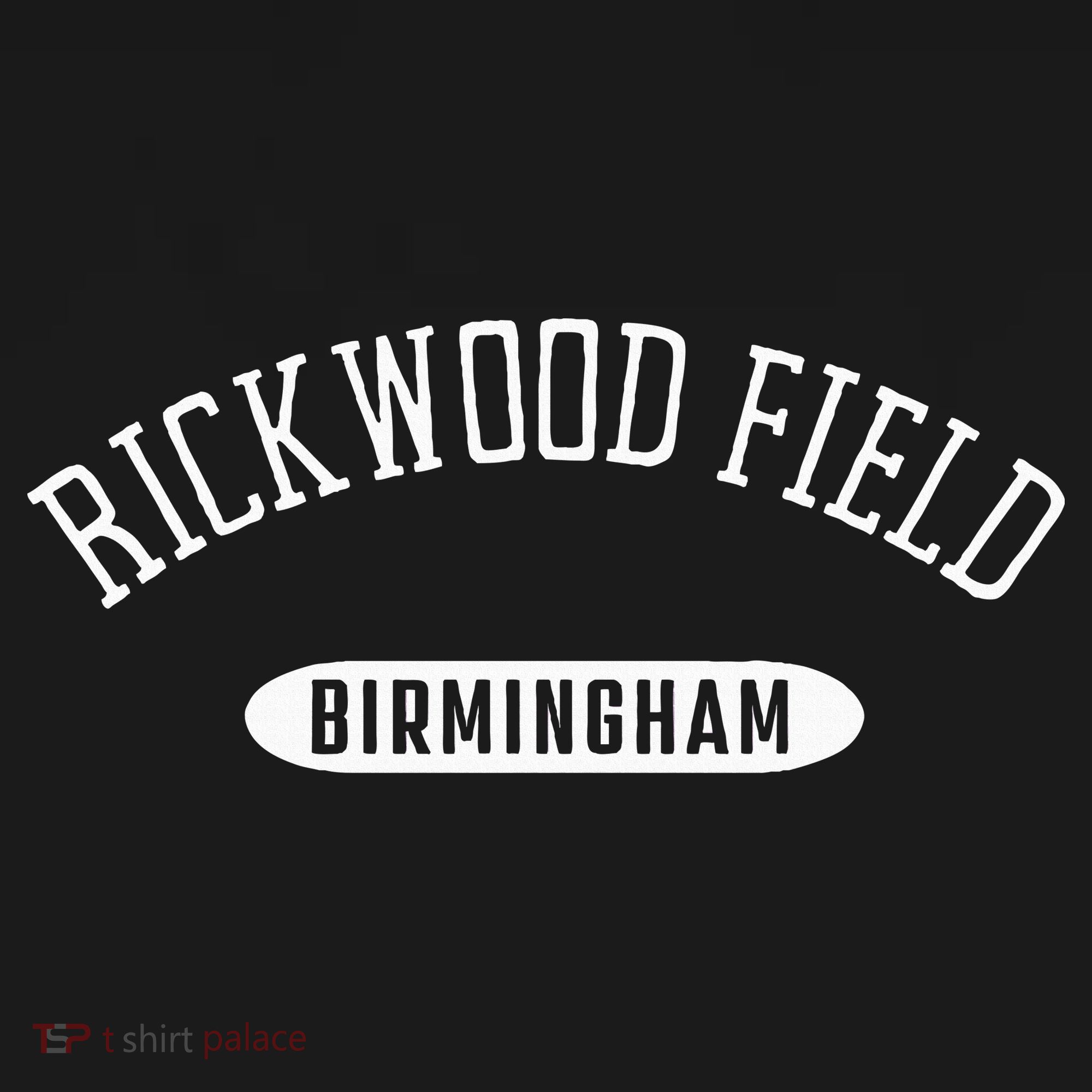 Rickwood Field Classic Style Birmingham Alabama Women's Crop Top Tee