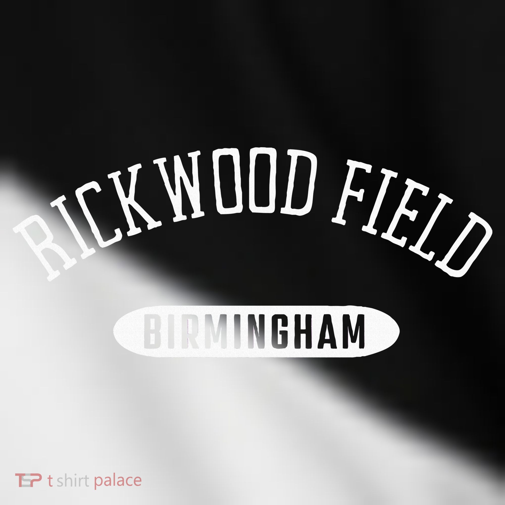 Rickwood Field Classic Style Birmingham Alabama Toddler Fine Jersey T-Shirt