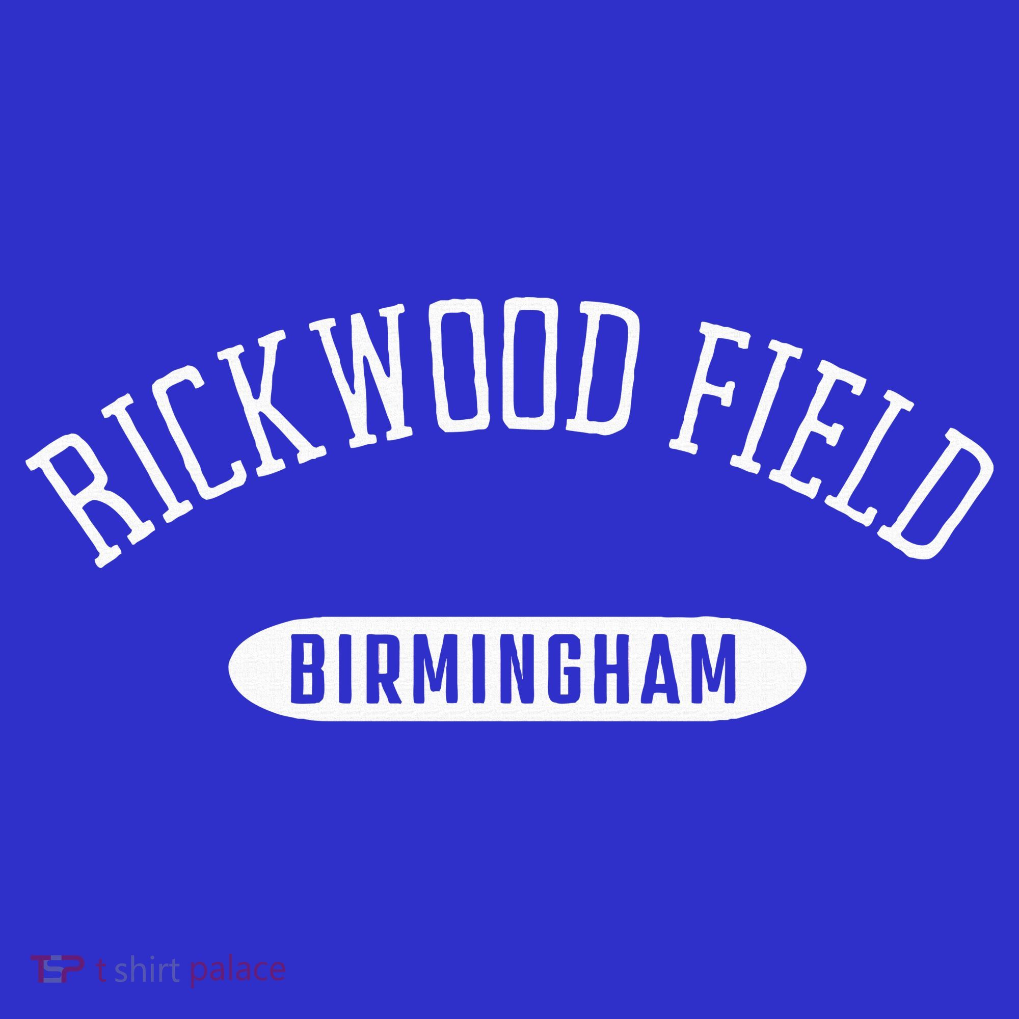 Rickwood Field Classic Style Birmingham Alabama Pom Pom 12in Knit Beanie