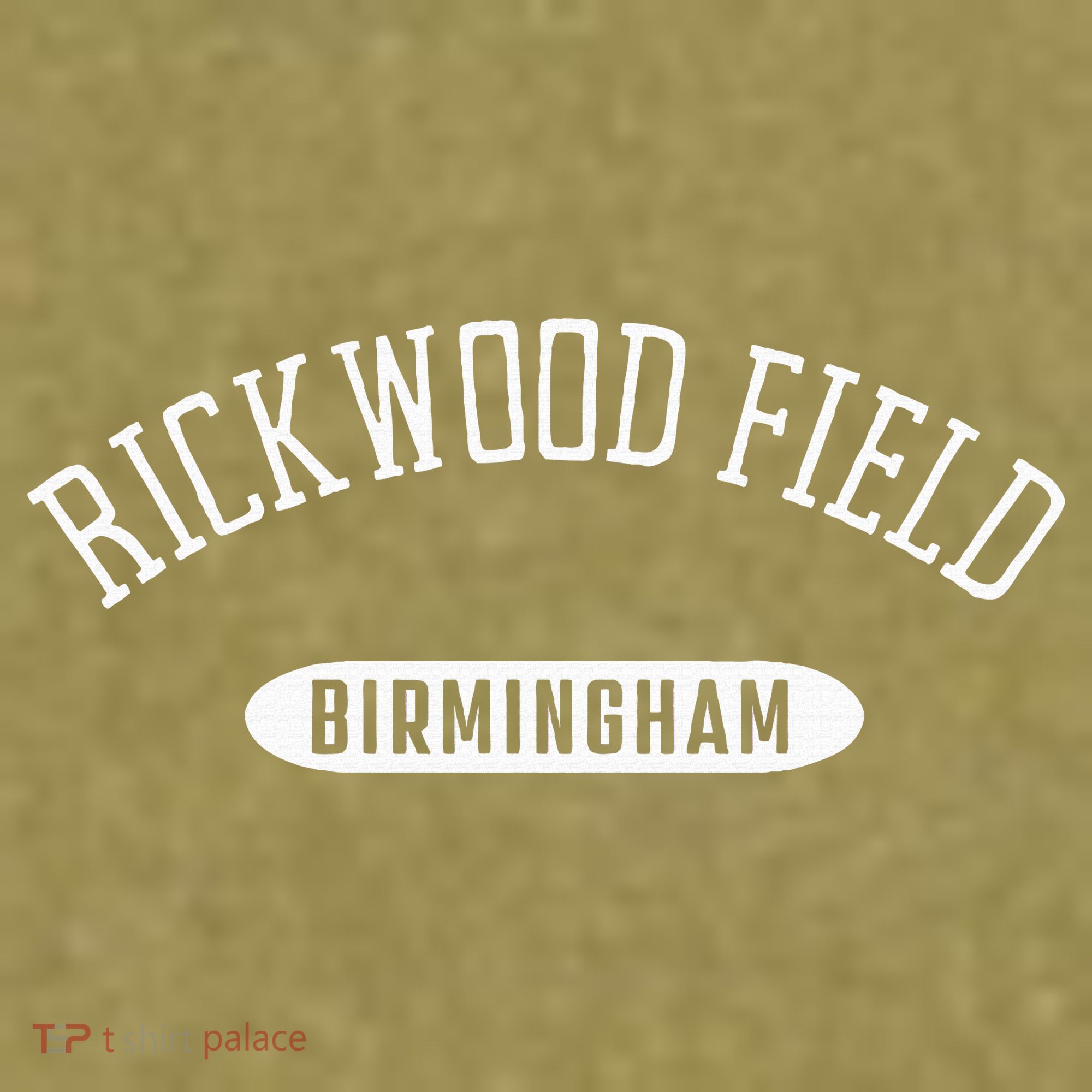 Rickwood Field Classic Style Birmingham Alabama Garment-Dyed Women's Muscle Tee