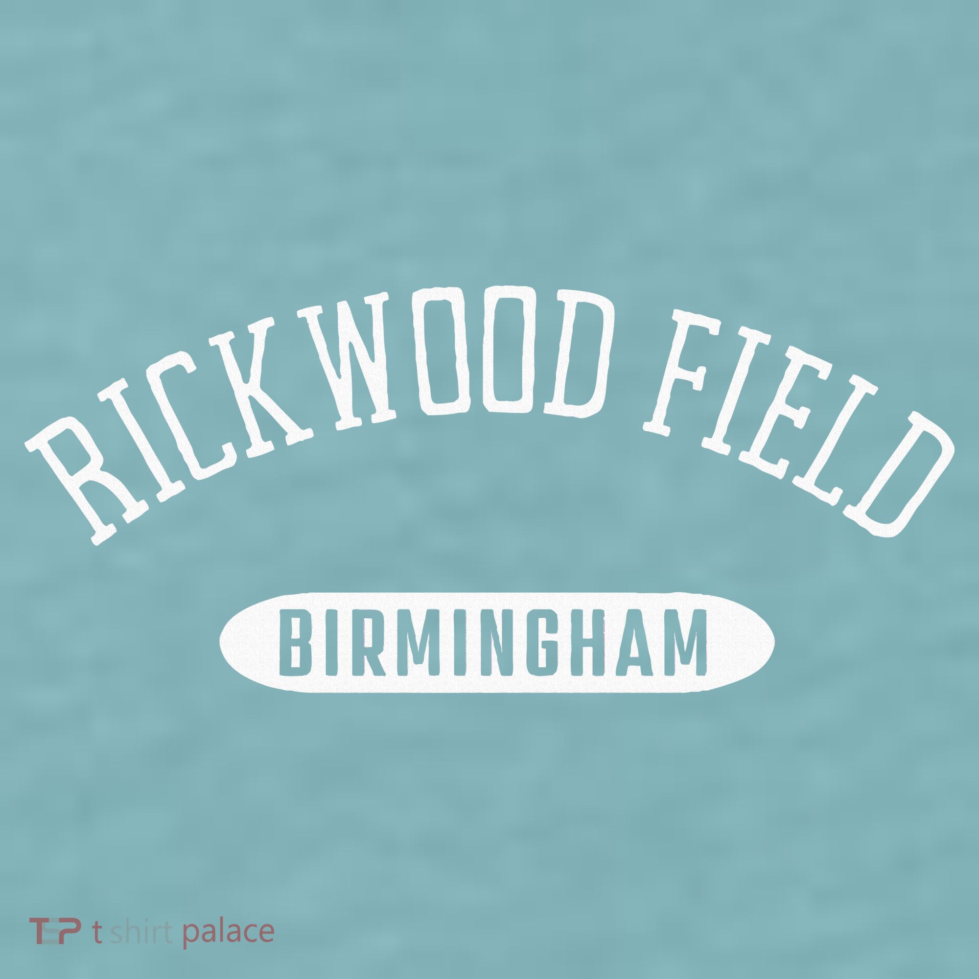 Rickwood Field Classic Style Birmingham Alabama Sueded Cloud Jersey T-Shirt