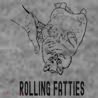 Rolling Fatties Cat Toddler Hoodie thumb 2