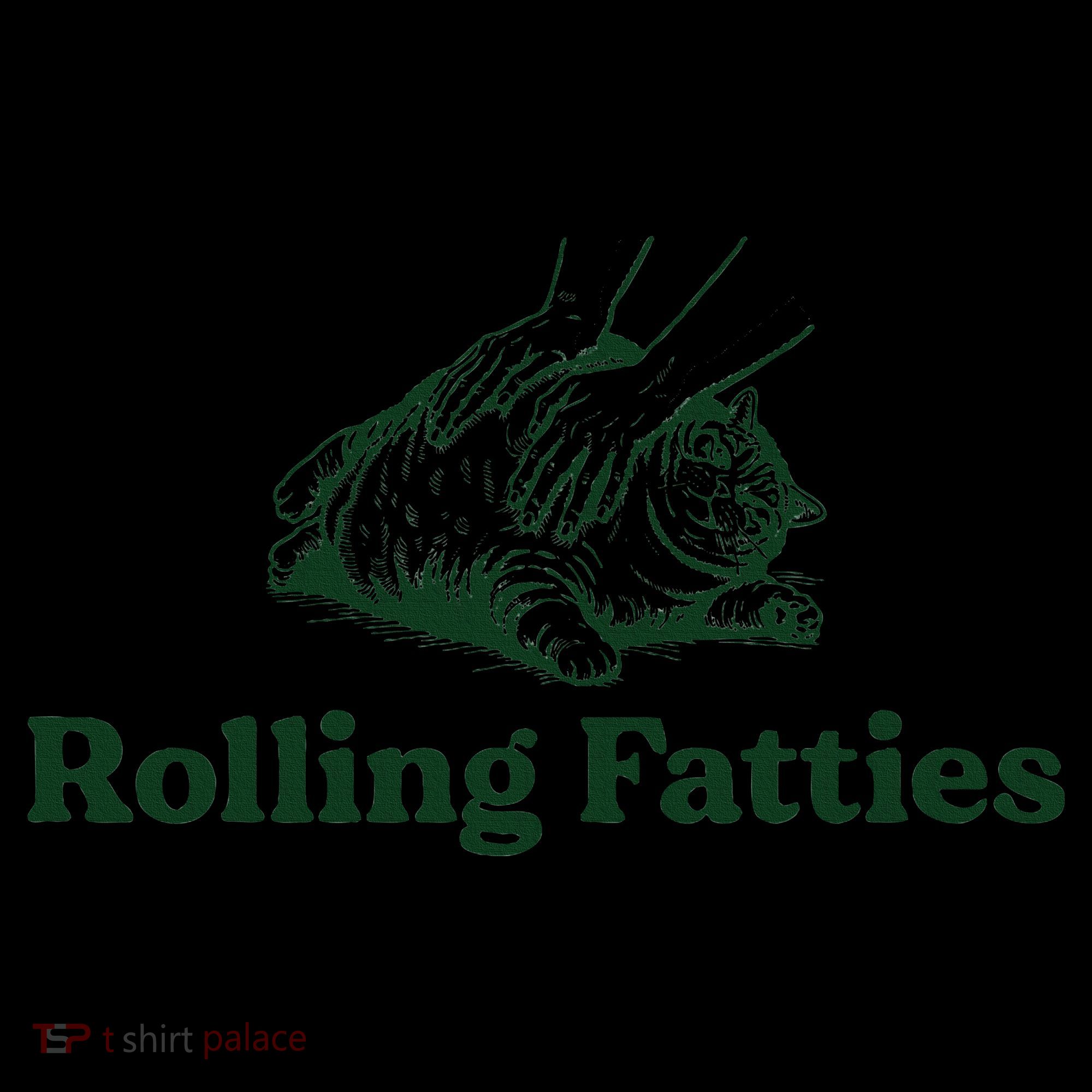Rolling Fatties Cat Funny Cute Cat Lover Kitten Owner Kitty Kids Colorblock Raglan Jersey