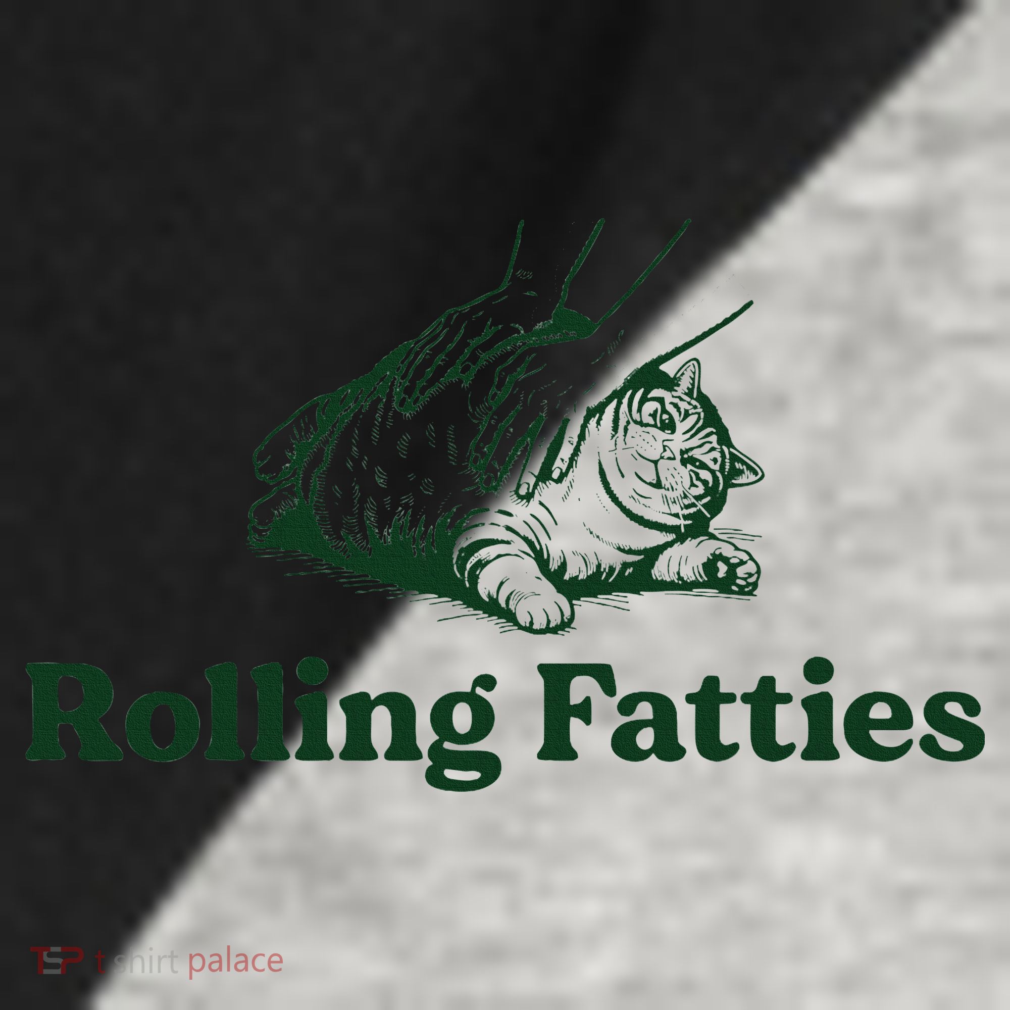 Rolling Fatties Cat Funny Cute Cat Lover Kitten Owner Kitty Raglan Baseball Sleeve Shirt