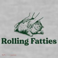 Rolling Fatties Cat Funny Cute Cat Lover Kitten Owner Kitty Ladies PosiCharge Tri-Blend Wicking Tank thumb 2
