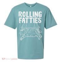 Rolling Fatties Cat Funny Fat Kitten Sueded Cloud Jersey T-Shirt thumb 0