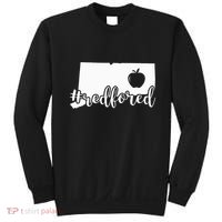 Red For Ed Connecticut Teacher Public Education Sweatshirt thumb 0