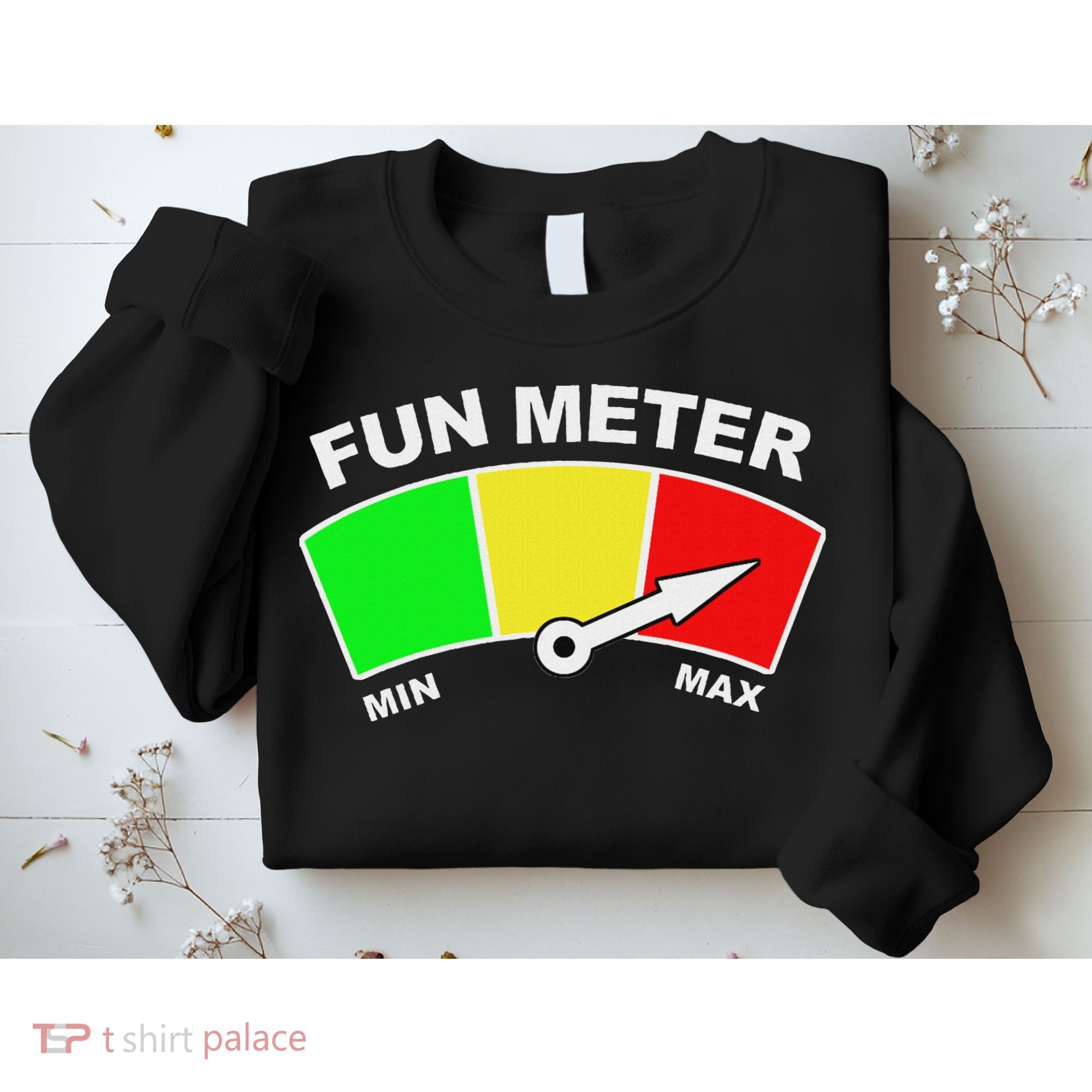Ready For Fun Collection Fun Meter Sweatshirt