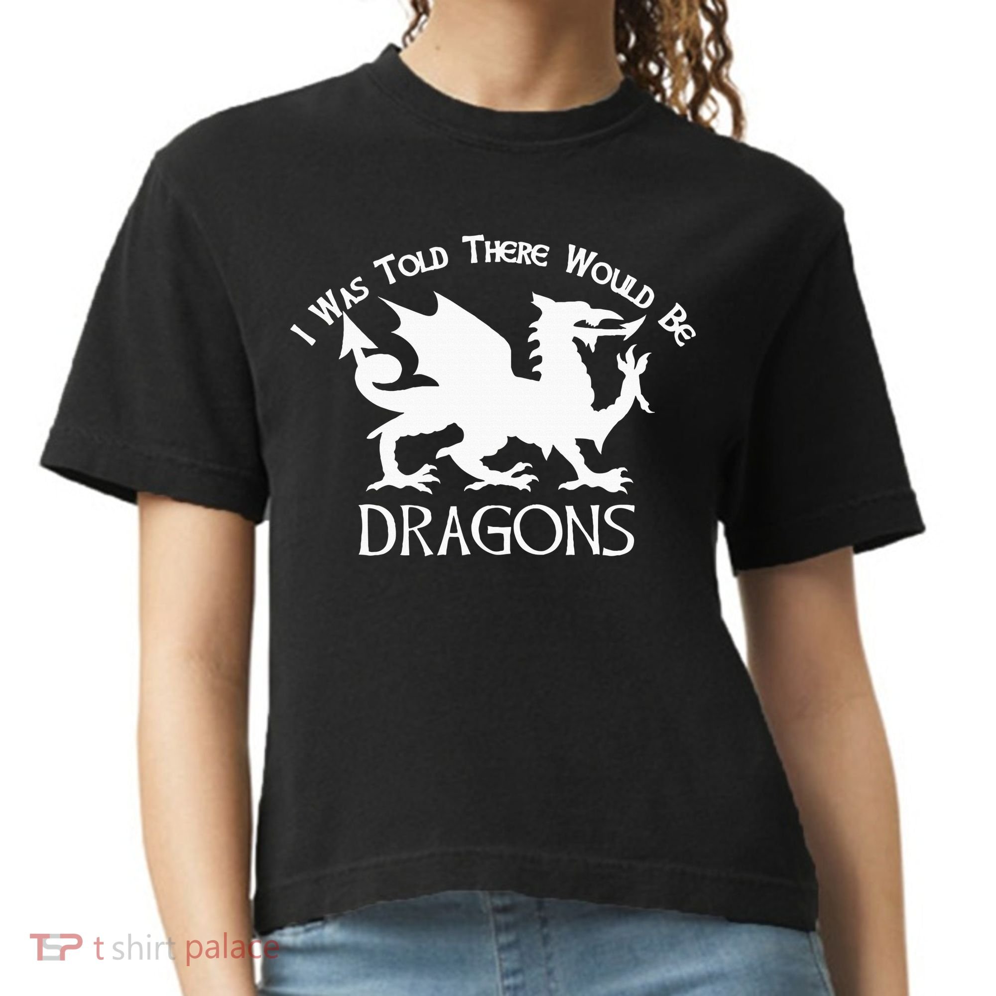 Renaissance Fair Faire Festival Medieval Theme Knight Dragon Comfort Colors Boxy T-Shirt