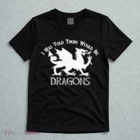 Renaissance Fair Faire Festival Medieval Theme Knight Dragon T-Shirt thumb 5
