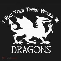 Renaissance Fair Faire Festival Medieval Theme Knight Dragon T-Shirt thumb 7