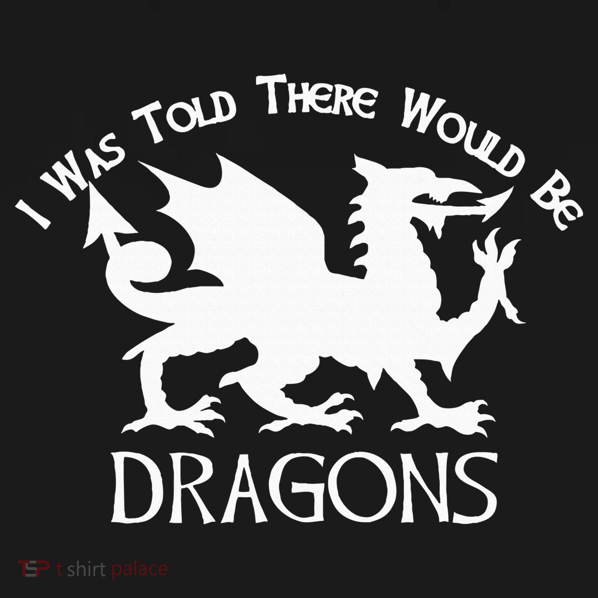 Renaissance Fair Faire Festival Medieval Theme Knight Dragon Kids Long Sleeve Shirt