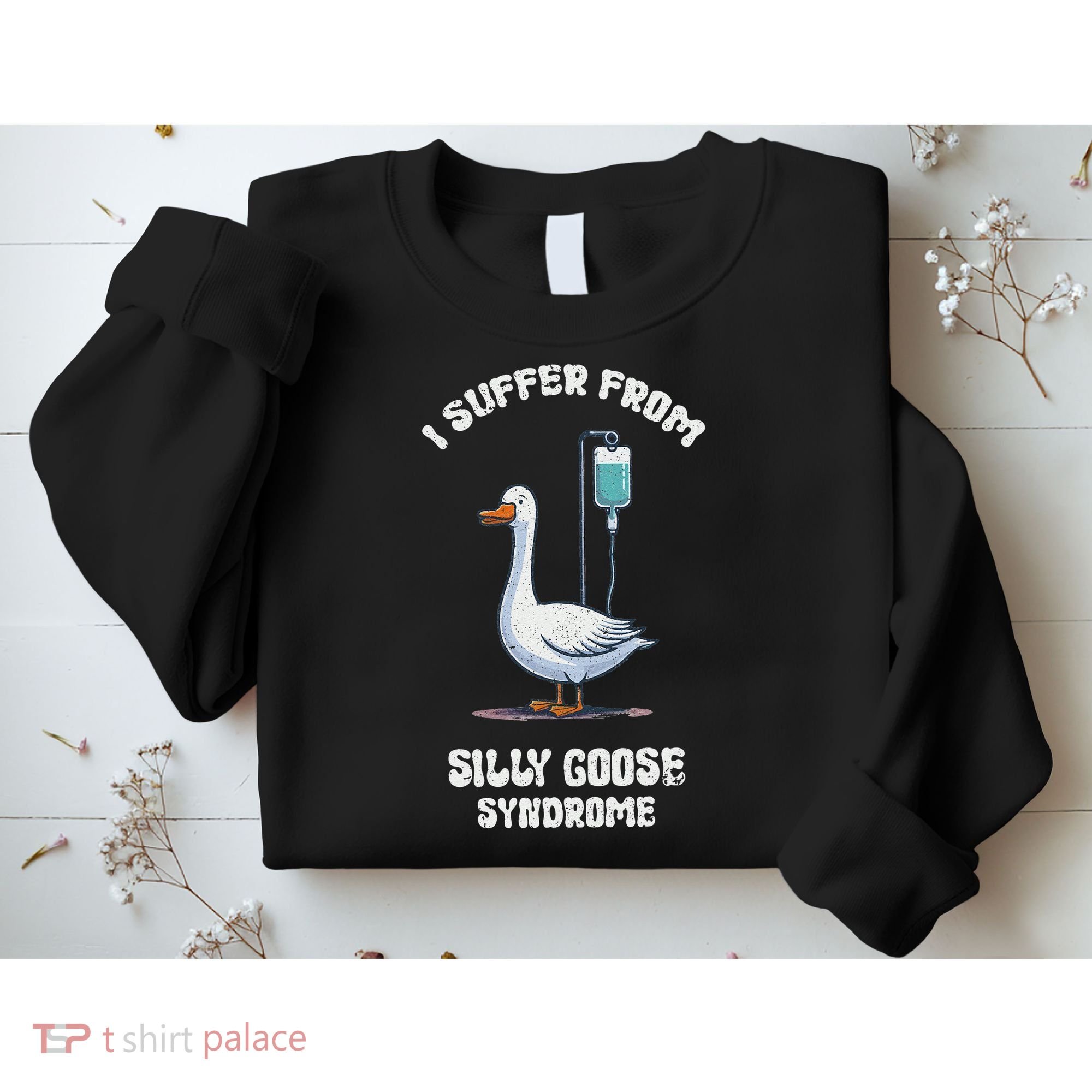 Retro Funny Goose Meme I Suffer From Silly Goose Syndrome Sweatshirt
