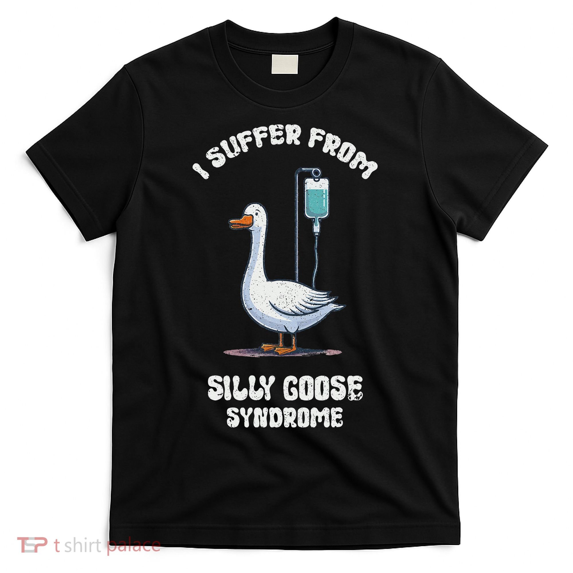 Retro Funny Goose Meme I Suffer From Silly Goose Syndrome T-Shirt