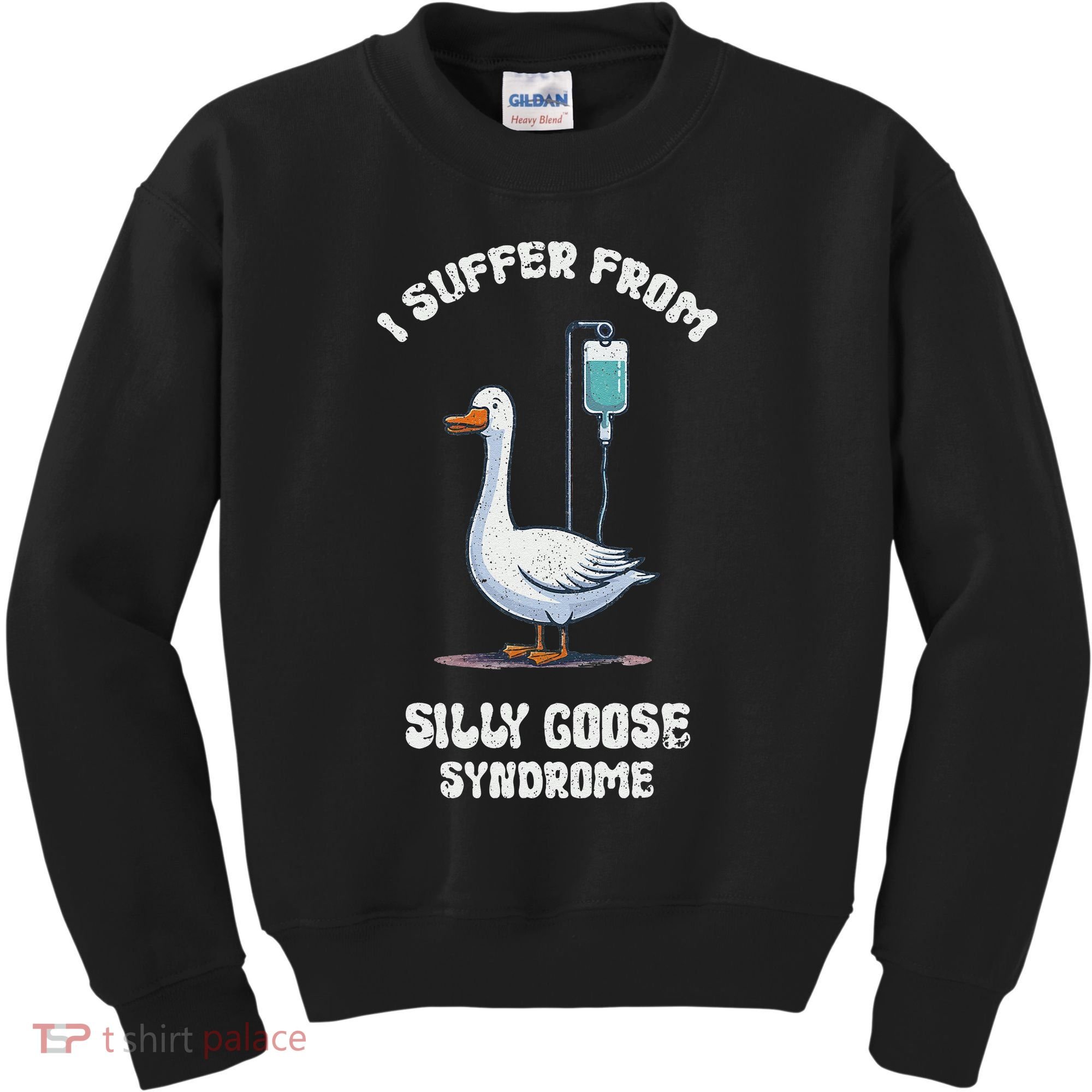 Retro Funny Goose Meme I Suffer From Silly Goose Syndrome Kids Sweatshirt