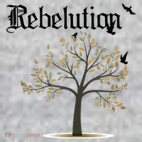 Rebelution Falling Into Place The Baniff Cuffed Pom Beanie thumb 2