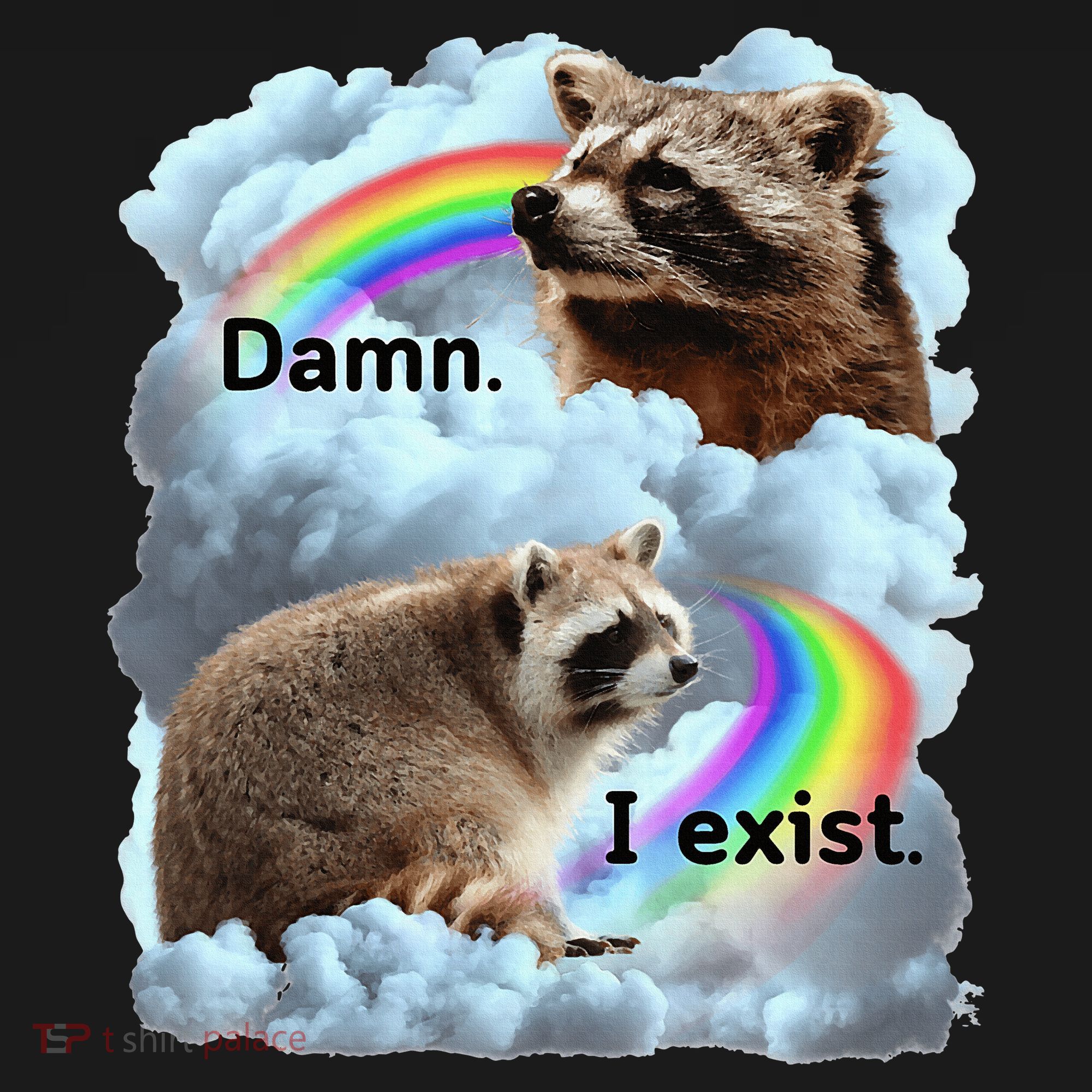 Raccoon Funny I Exist Depression Meme Dark Mental Health Women's Hoodie
