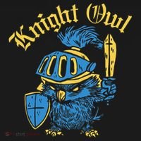 Renaissance Festival Knight Owl Ren Faire Ornament thumb 1