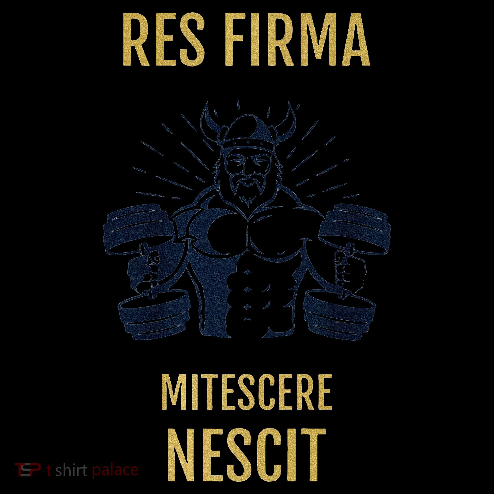 Res Firma Mitescere Nescit Premium Women's Hoodie