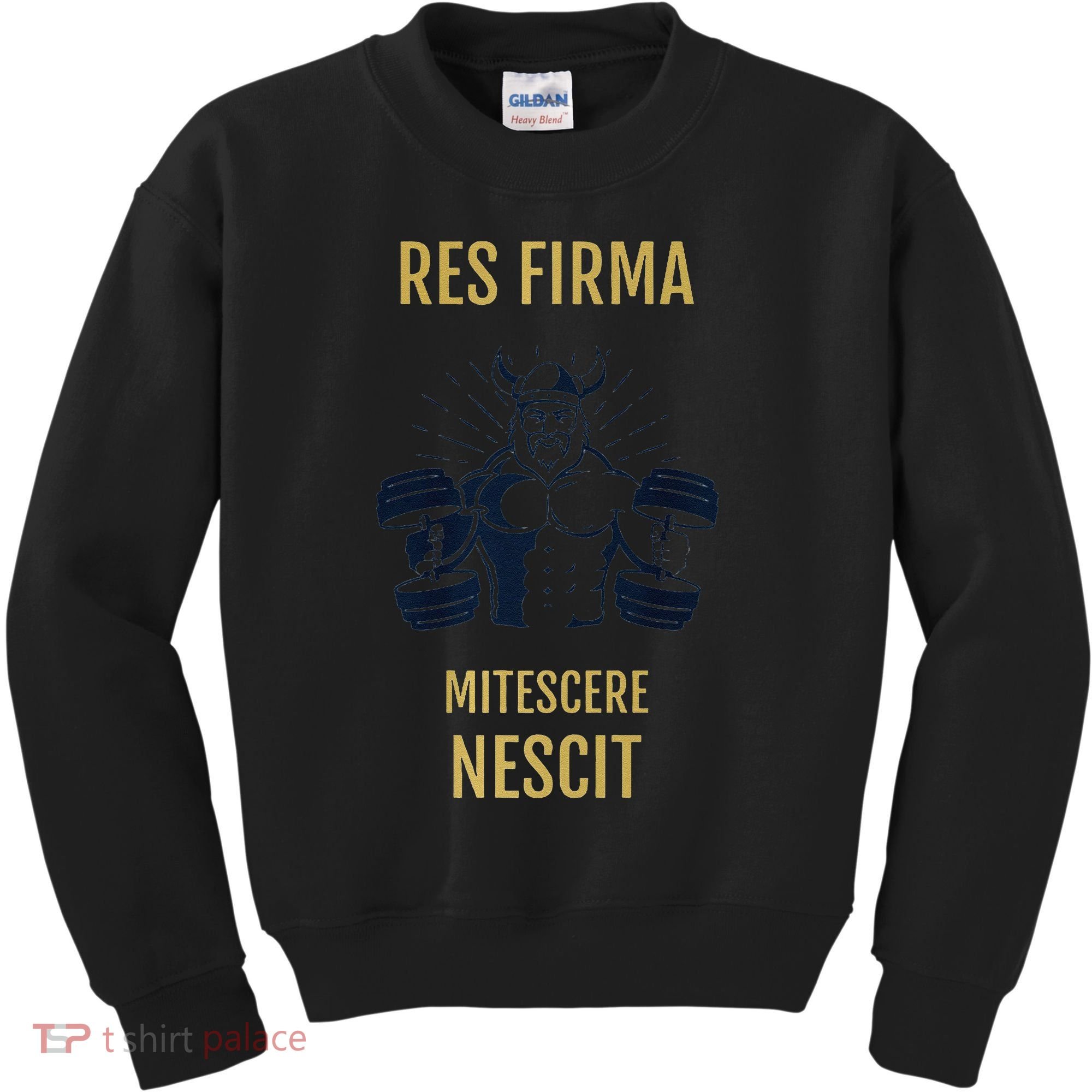 Res Firma Mitescere Nescit Premium Kids Sweatshirt
