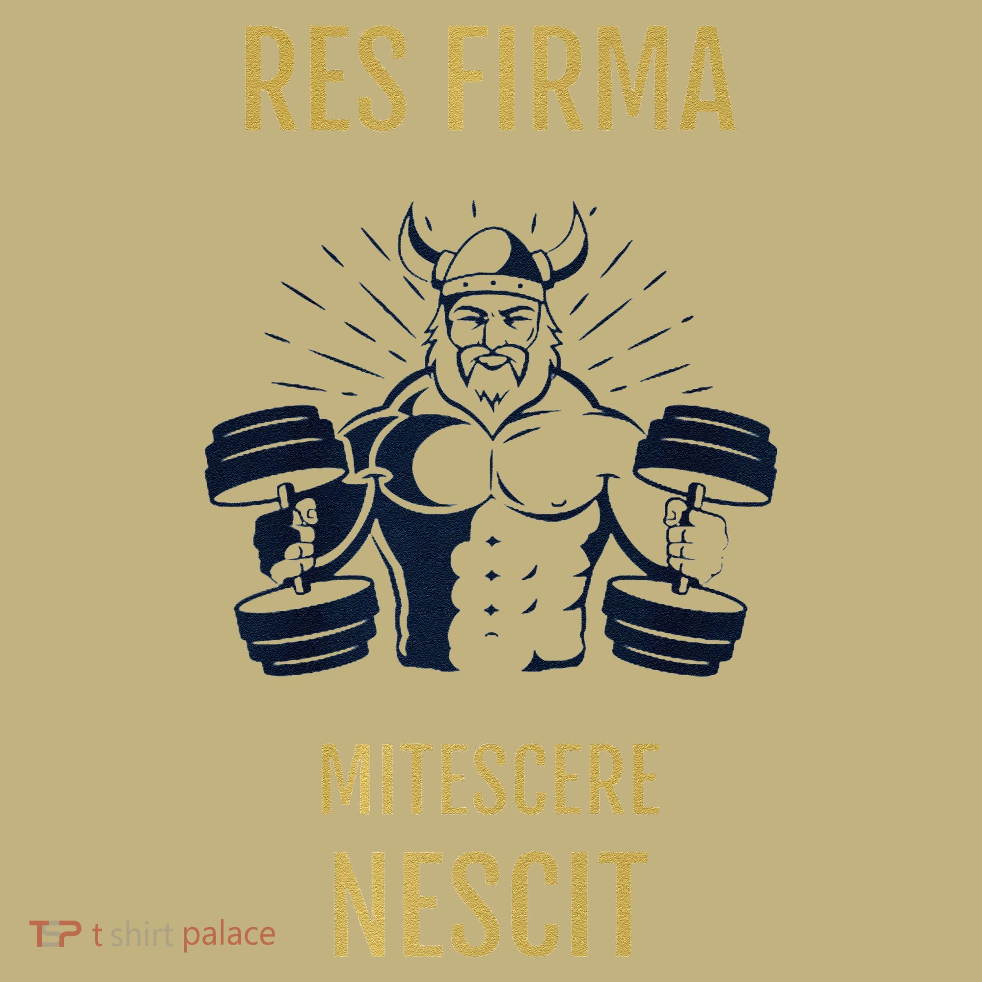 Res Firma Mitescere Nescit Premium Sweatshirt