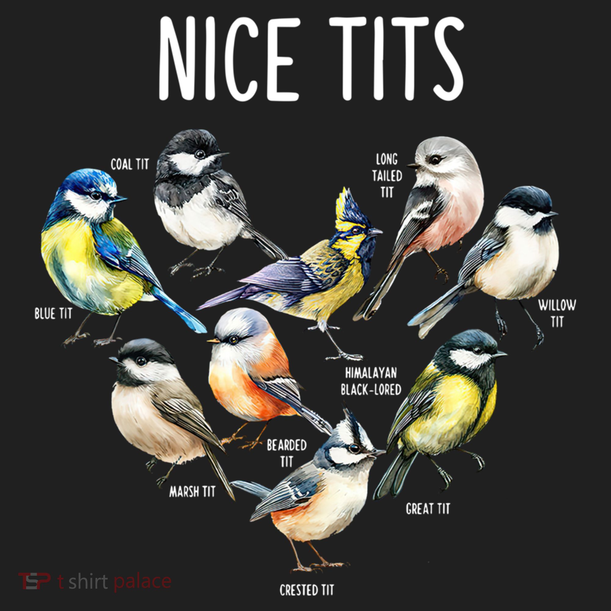 Retro Funny Nice Tits Birds Birdwatcher Bird Watching Humor Gift Beanie