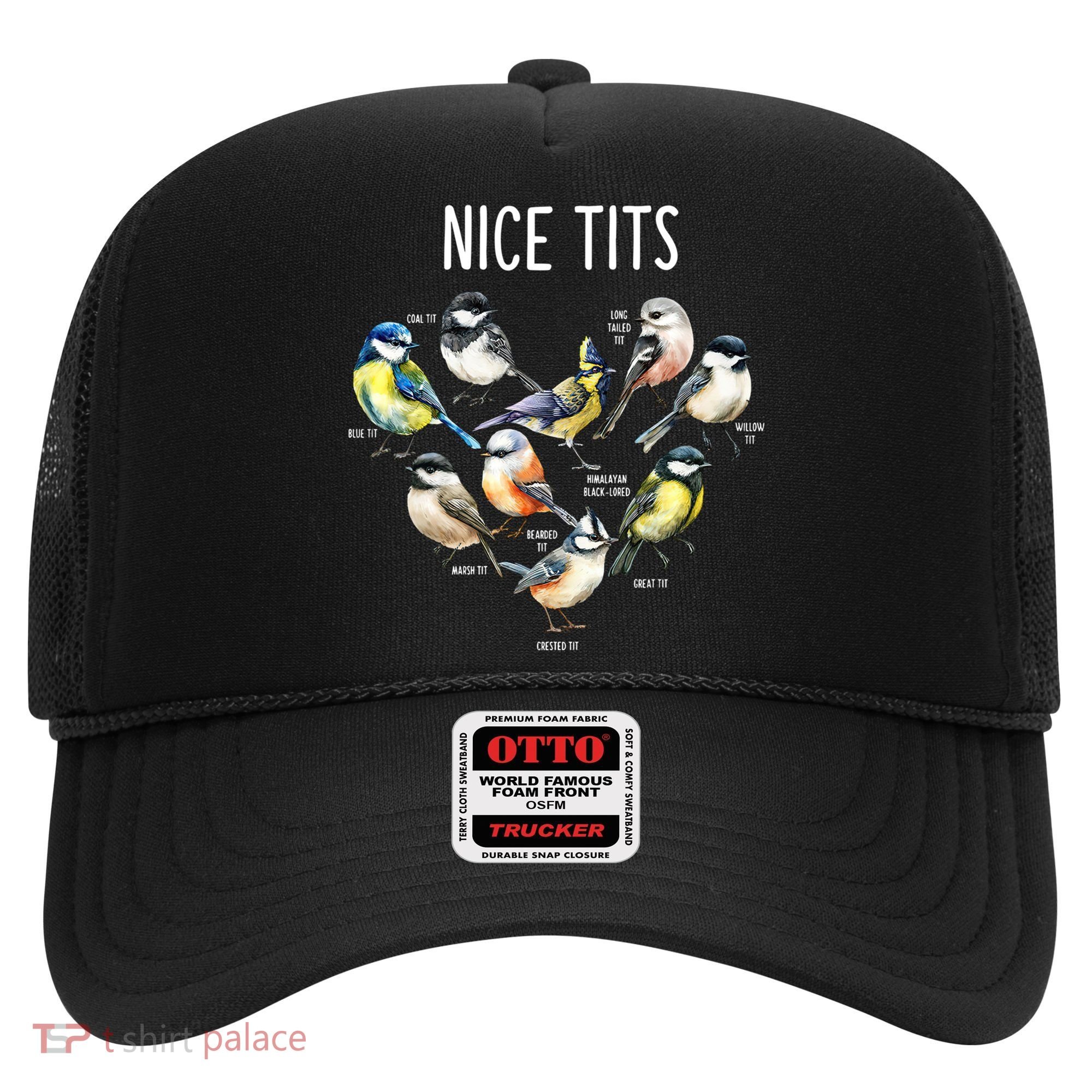 Retro Funny Nice Tits Birds Birdwatcher Bird Watching Humor Gift Hat