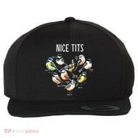 Retro Funny Nice Tits Birds Birdwatcher Bird Watching Humor Gift Wool Snapback Cap thumb 0