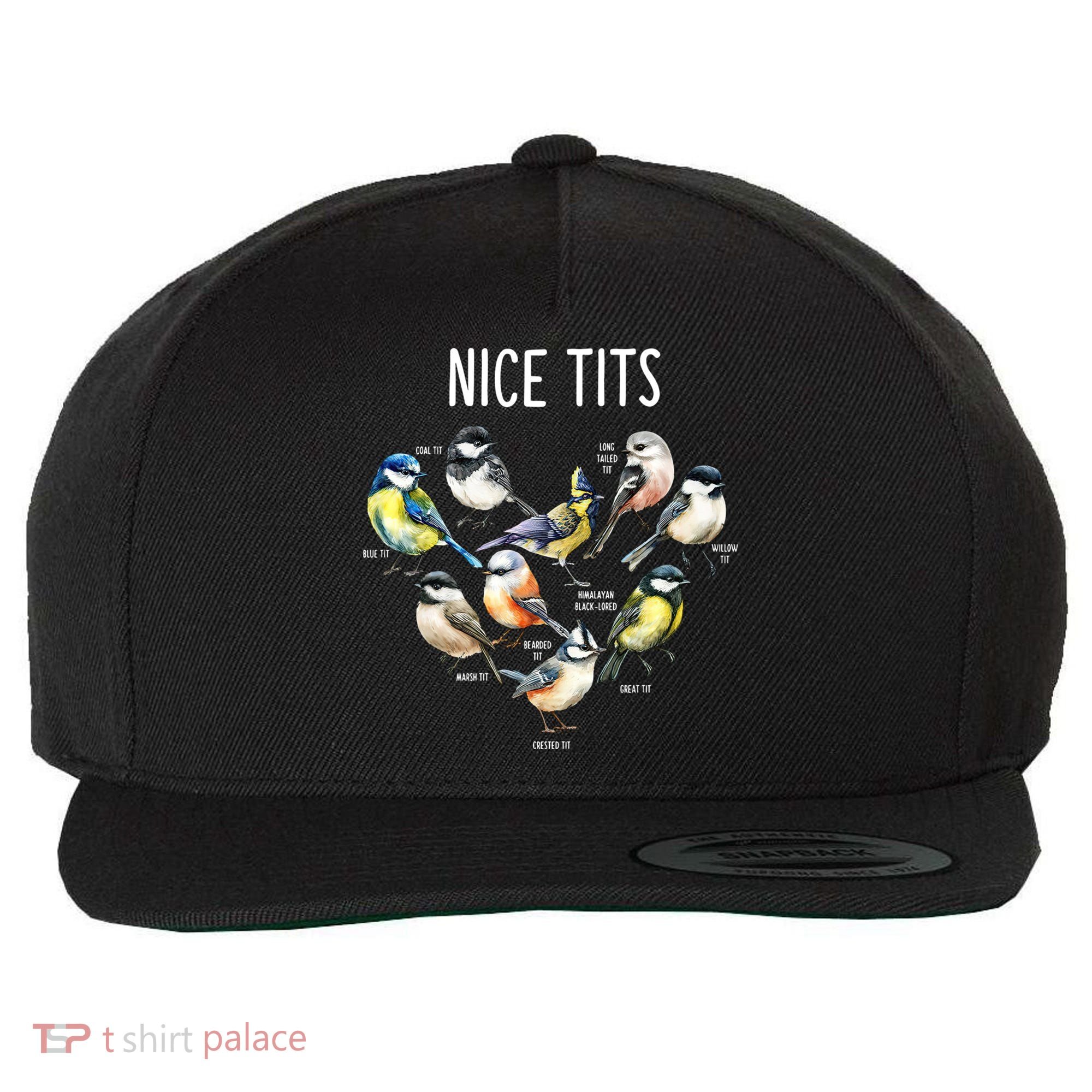 Retro Funny Nice Tits Birds Birdwatcher Bird Watching Humor Gift Wool Snapback Cap