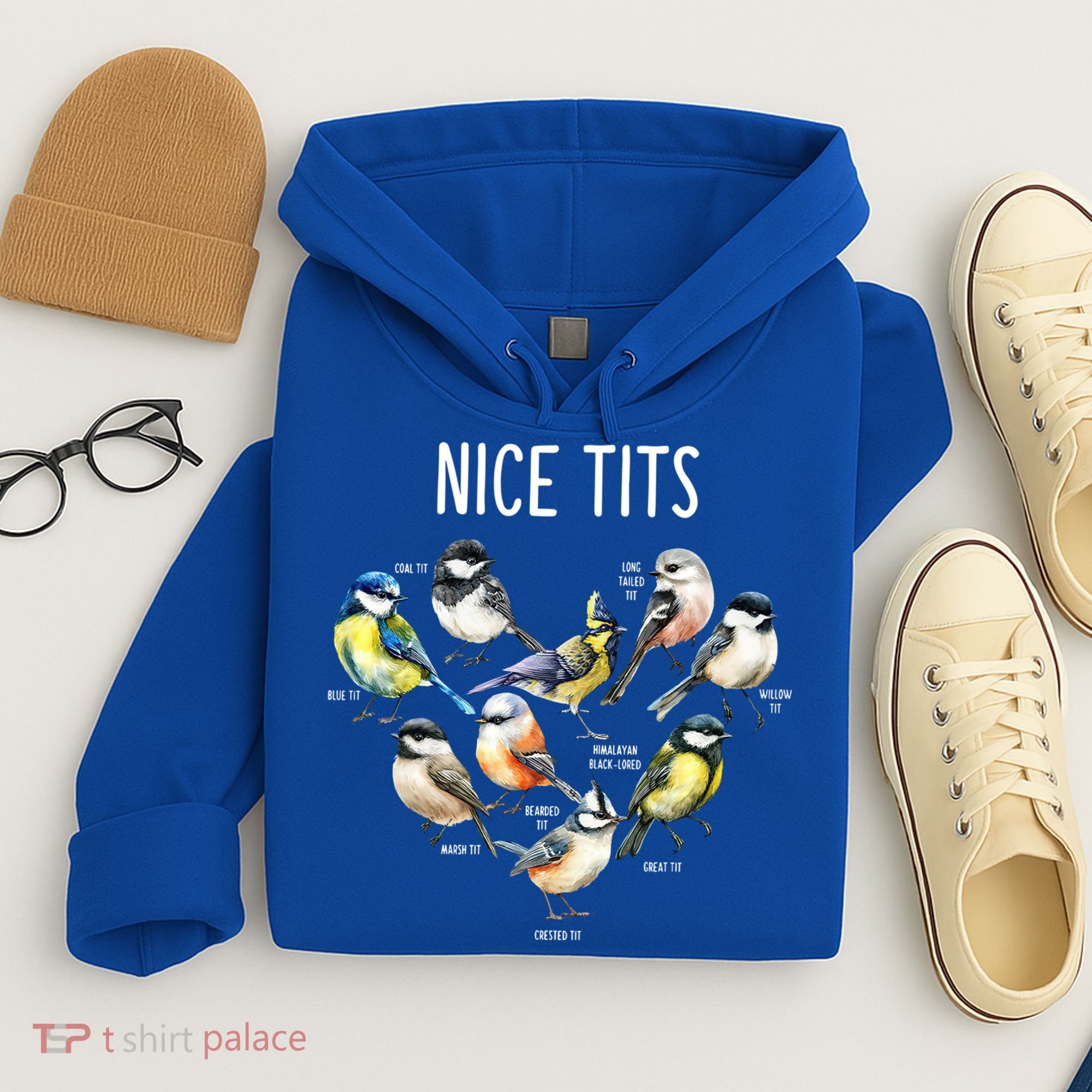 Retro Funny Nice Tits Birds Birdwatcher Bird Watching Humor Gift Hoodie