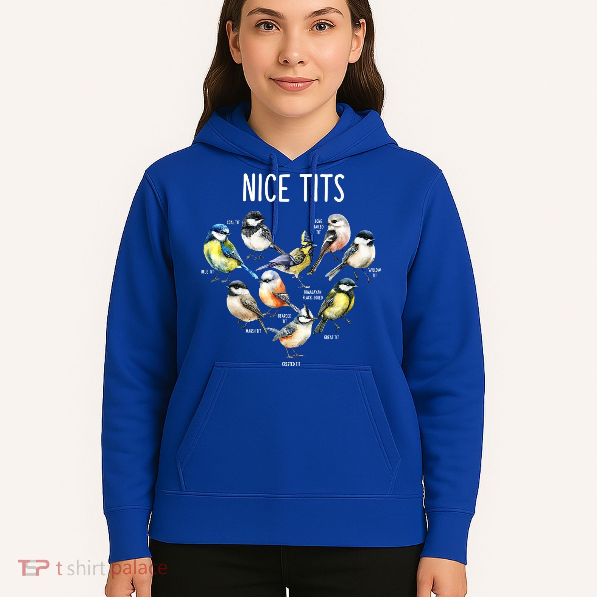 Retro Funny Nice Tits Birds Birdwatcher Bird Watching Humor Gift Hoodie