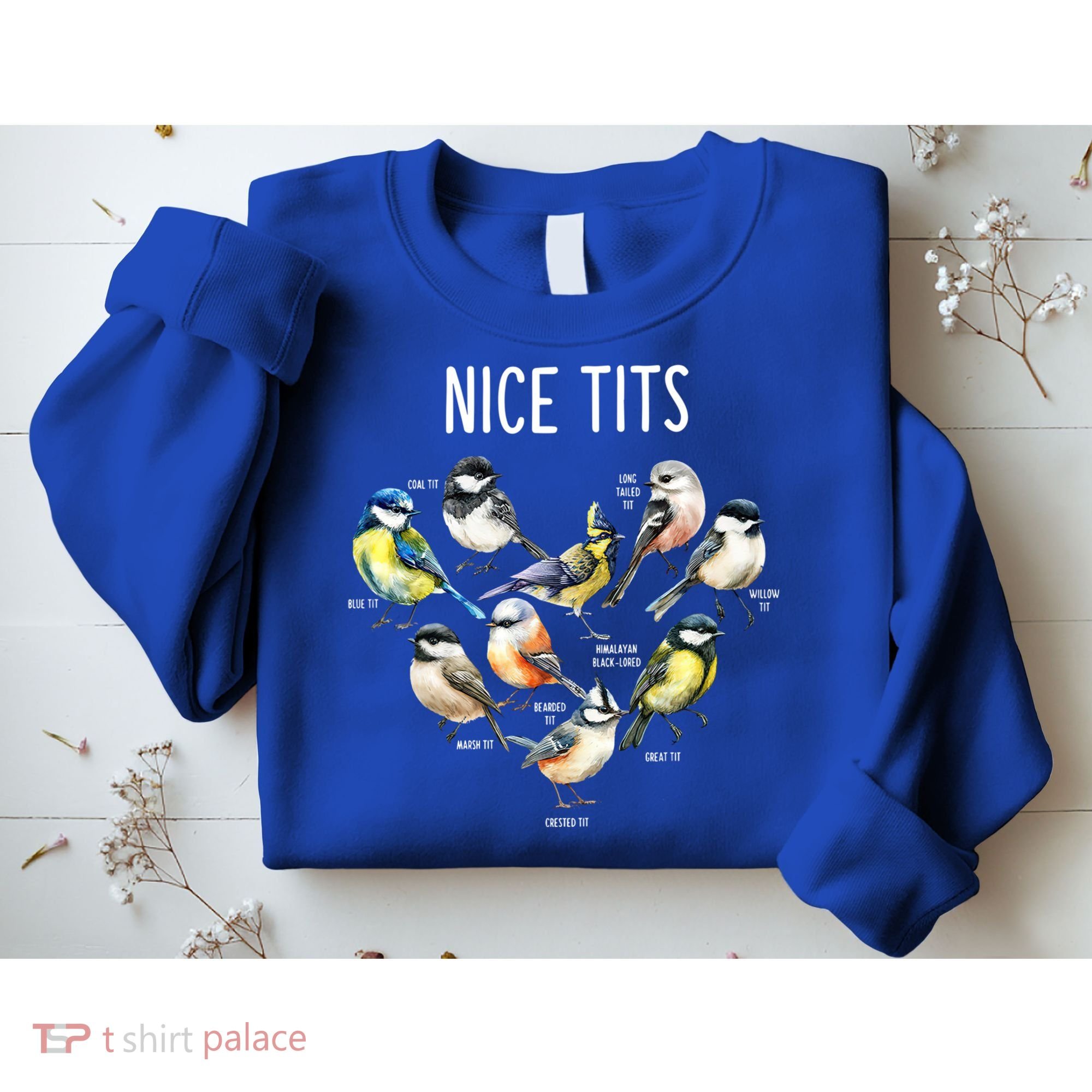 Retro Funny Nice Tits Birds Birdwatcher Bird Watching Humor Gift Sweatshirt