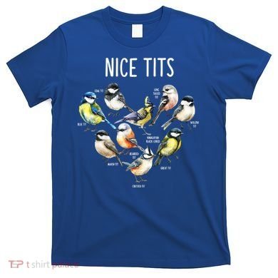 Retro Funny Nice Tits Birds Birdwatcher Bird Watching Humor Gift T-Shirt