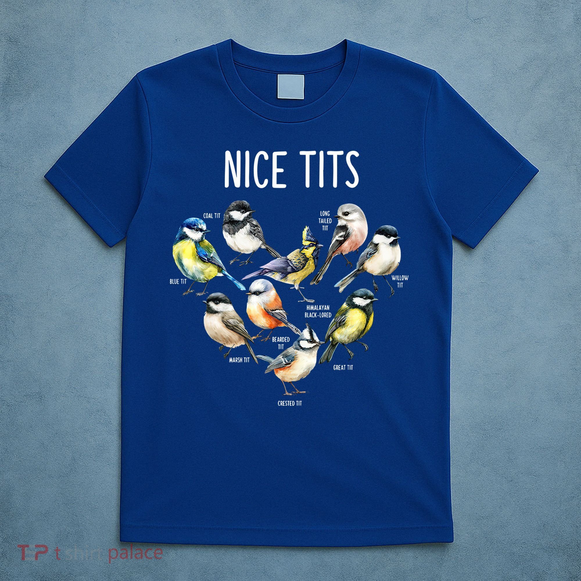 Retro Funny Nice Tits Birds Birdwatcher Bird Watching Humor Gift T-Shirt