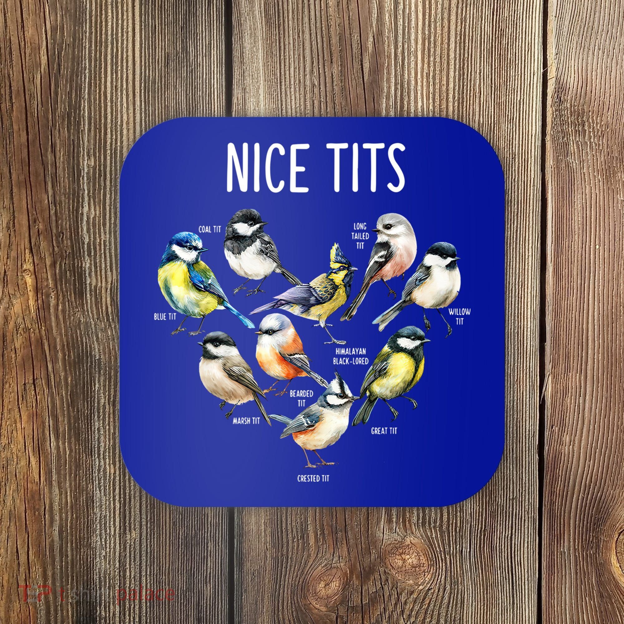Retro Funny Nice Tits Birds Birdwatcher Bird Watching Humor Gift Coaster