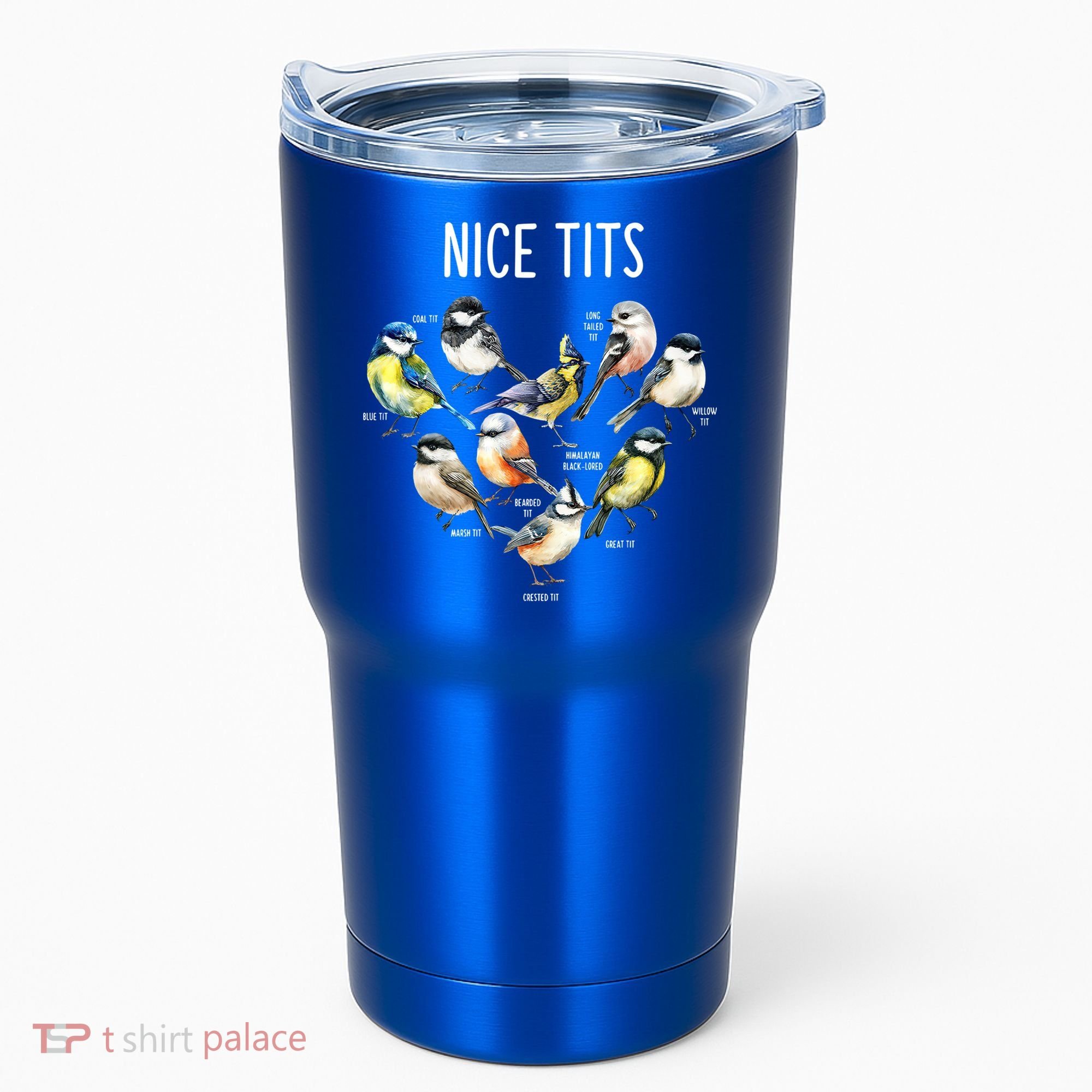 Retro Funny Nice Tits Birds Birdwatcher Bird Watching Humor Gift Tumbler