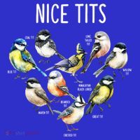 Retro Funny Nice Tits Birds Birdwatcher Bird Watching Humor Gift Baby Bodysuit thumb 2