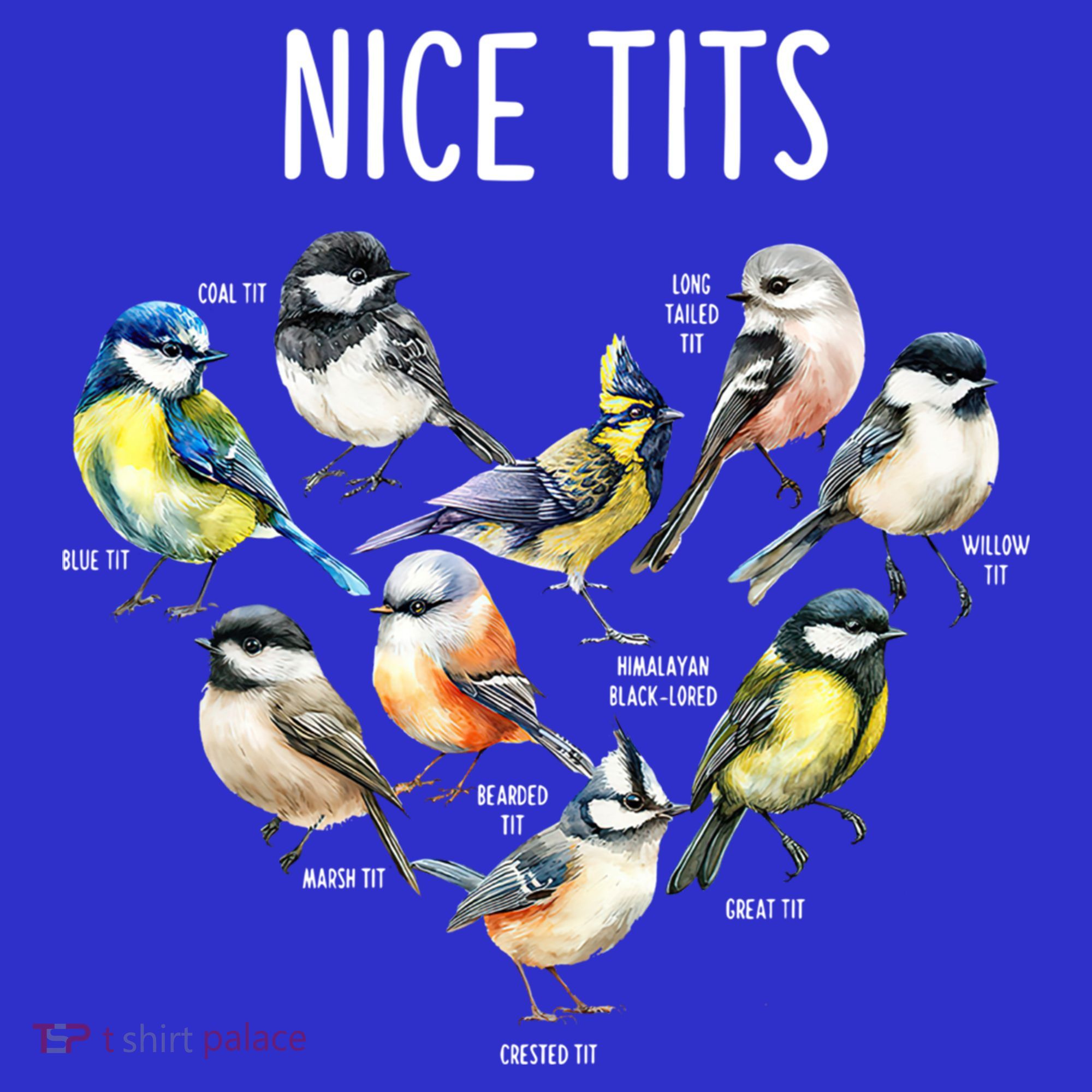 Retro Funny Nice Tits Birds Birdwatcher Bird Watching Humor Gift Baby Bodysuit