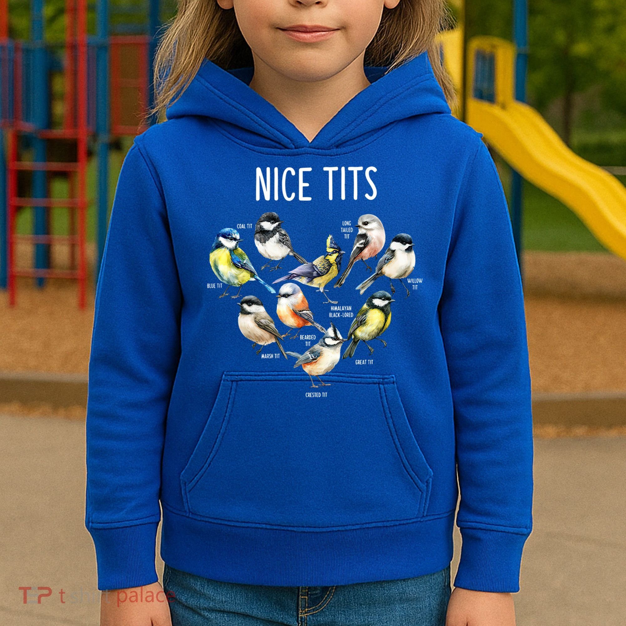 Retro Funny Nice Tits Birds Birdwatcher Bird Watching Humor Gift Kids Hoodie