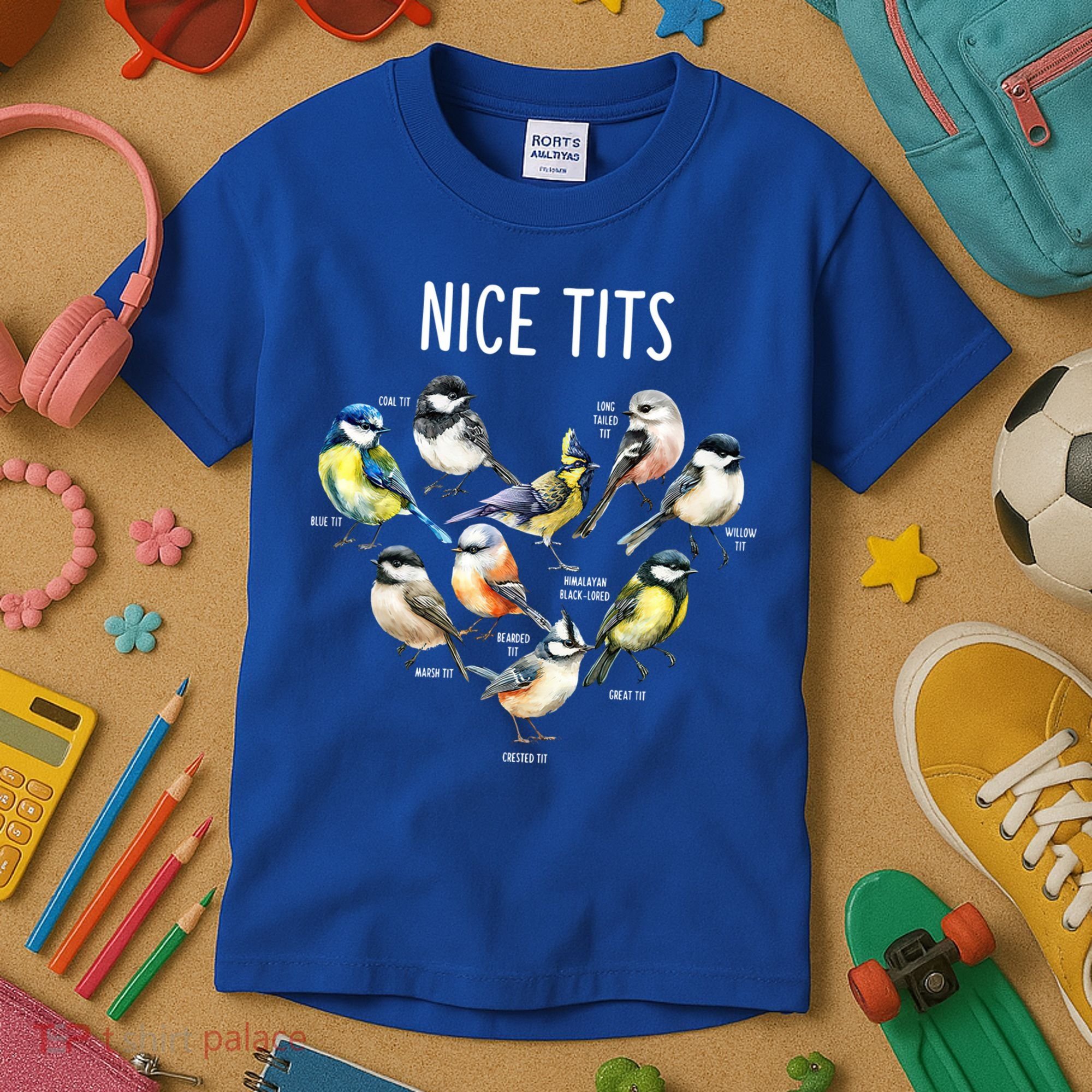 Retro Funny Nice Tits Birds Birdwatcher Bird Watching Humor Gift Kids T-Shirt