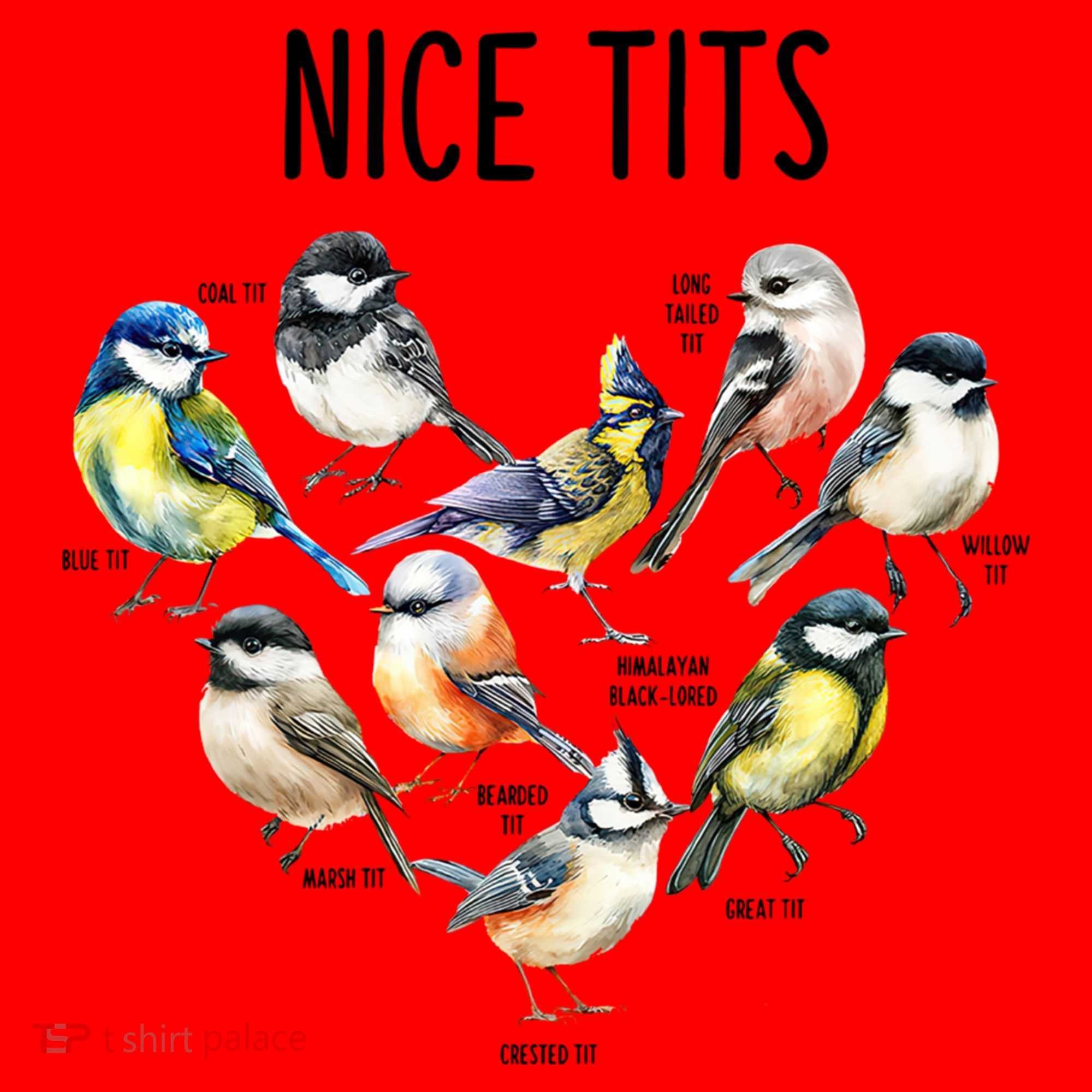 Retro Funny Nice Tits Birds Birdwatcher Bird Watching Humor Gift Santa Hat