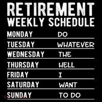 Retired Funny Retirement Gift Hoodie thumb 7