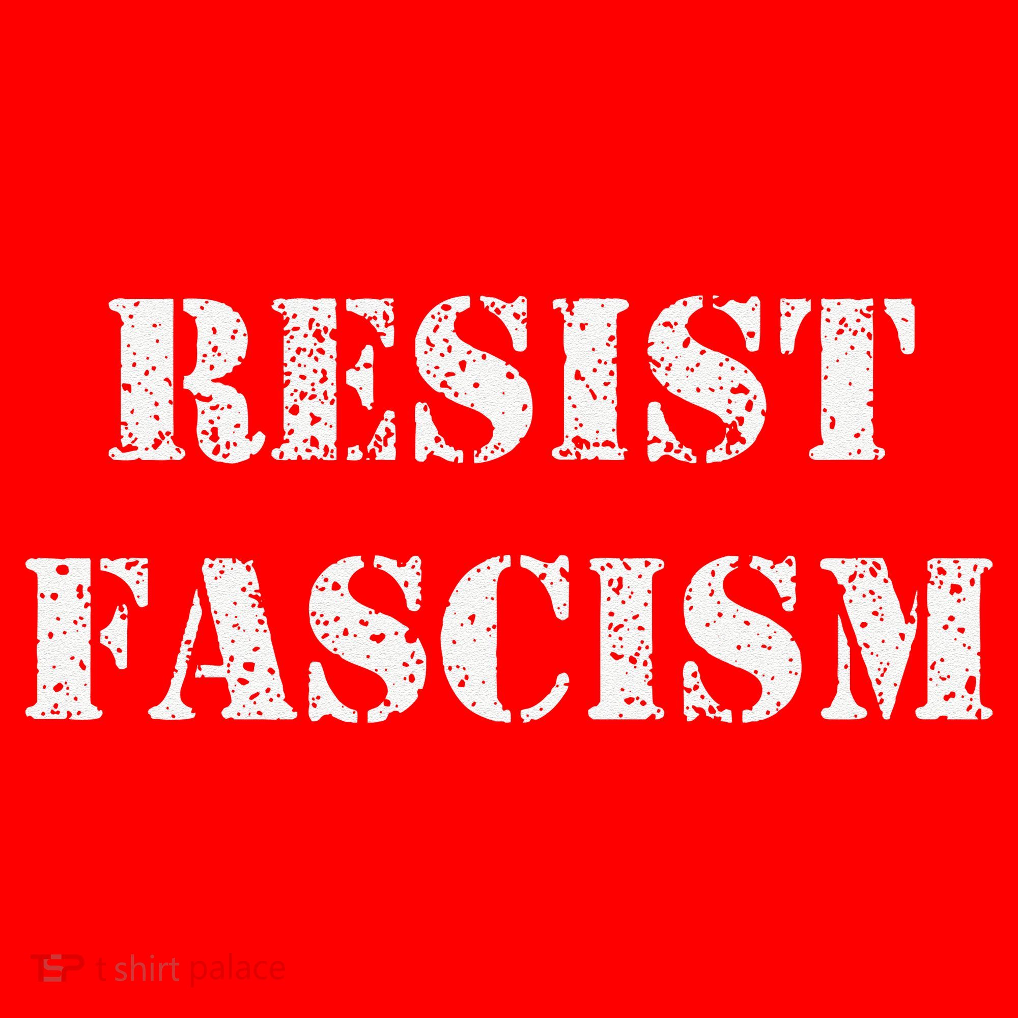 Resist Fascism Santa Hat