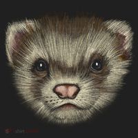 Realistic Ferret Beanie thumb 2