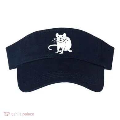 Visor