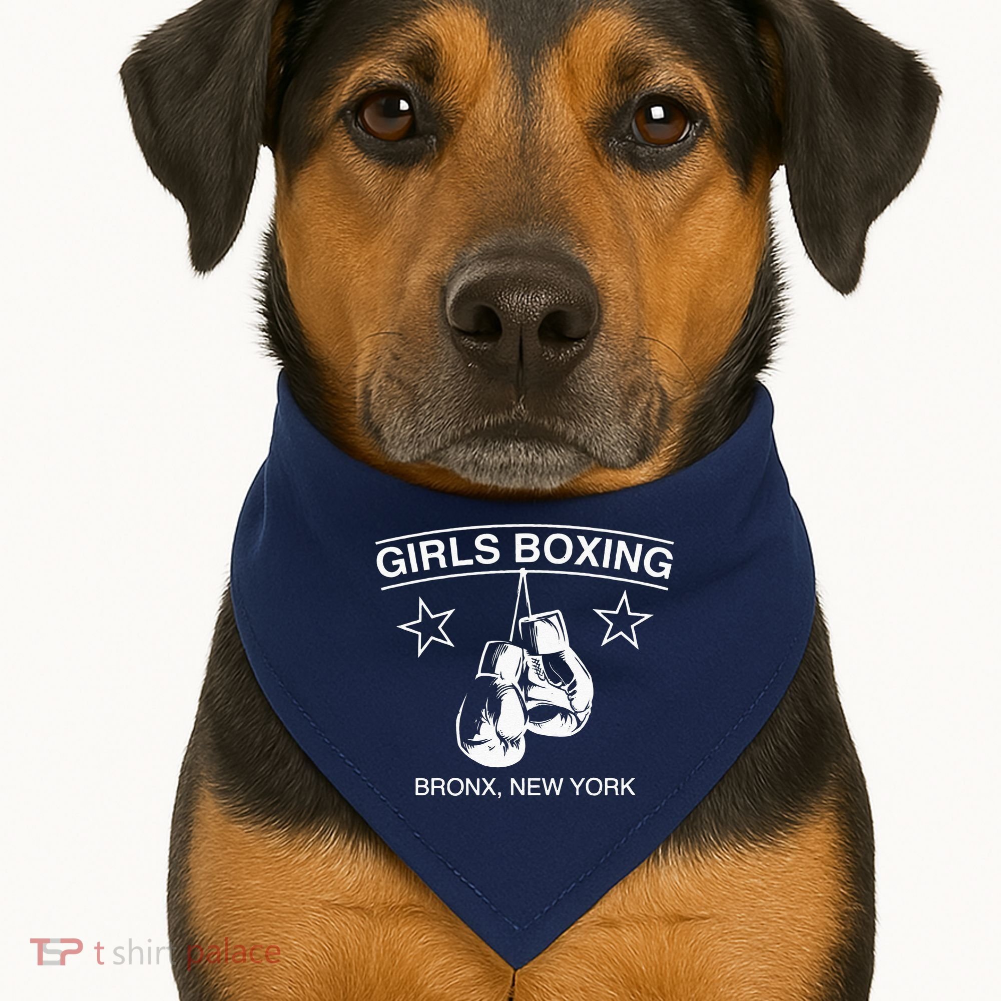 Rachel Famous Rachel Boxing Bronx NY USA-Made Doggie Bandana